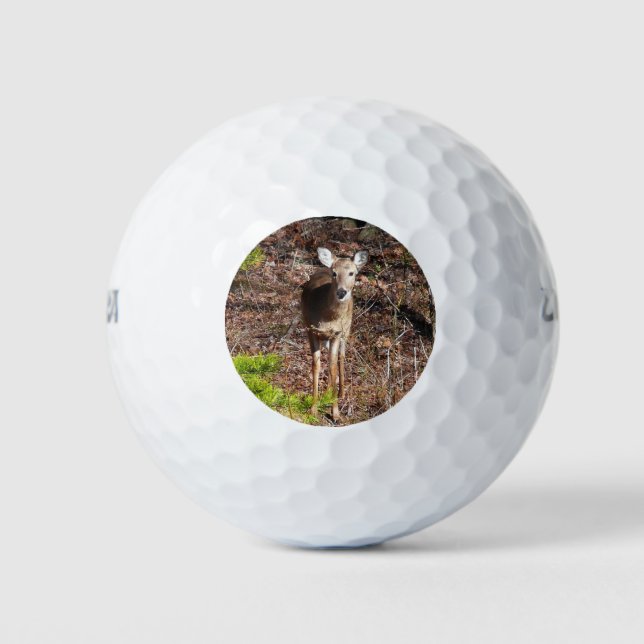 Schöne Hirsche in der Waldnaturfotografie Golfball (Vorderseite)