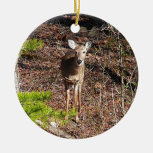 Schöne Hirsche in der Waldnaturfotografie Keramikornament