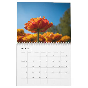 Schöne holländische Tulips Kalender