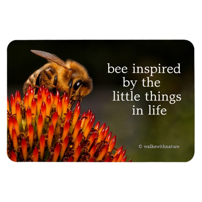 Schöne Honigbiene Pollinieren einer Blume Magnet (Horizontal)