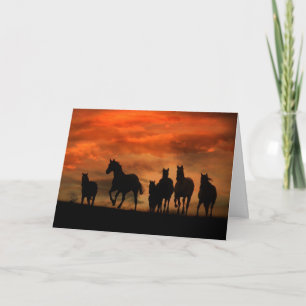 Schöne Horse Herd Sympathy Card Karte