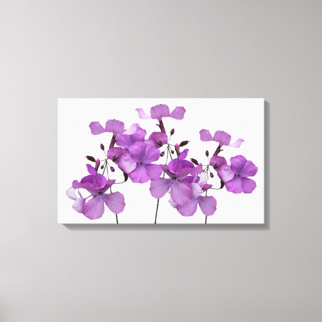 Schöne hübsche violette Blumen Moderne Blumenkunst Leinwanddruck (Vorderseite)