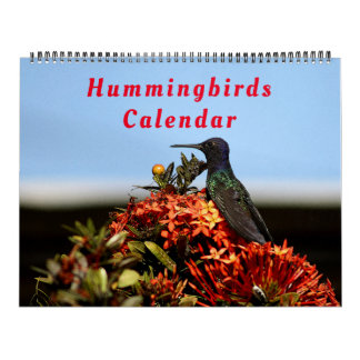 Schöne Hummingbirds - Hübsche farbenfrohe Vögel Kalender