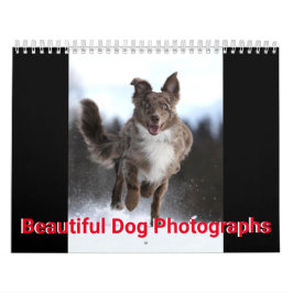 Schöne Hunde-Fotos Kalender