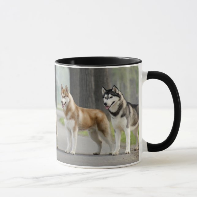 Schöne Husky-Hunde auf einem Naturlehrpfad Tasse (Rechts)