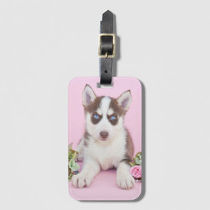 Schöne Husky-Welpe mit rosa Rosen Gepäckanhänger