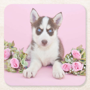 Schöne Husky-Welpe mit rosa Rosen Rechteckiger Pappuntersetzer