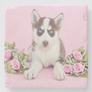 Schöne Husky-Welpe mit rosa Rosen Steinuntersetzer