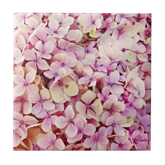 Schöne Hydrangea-Blume Fliese (Vorderseite)