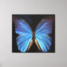 Schöne, irdisch blauer Schmetterling Canvass