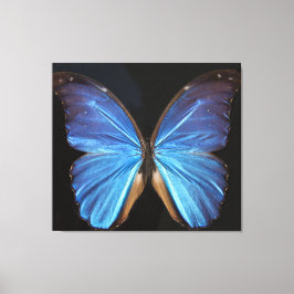 Schöne, irdisch blauer Schmetterling Canvass Leinwanddruck