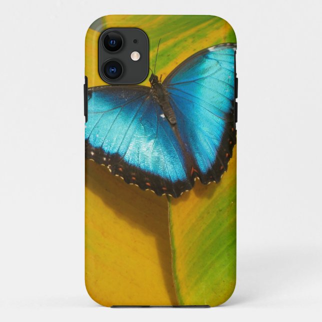 Schöne, iridescent Butterfly Case-Mate iPhone Hülle (Rückseite)