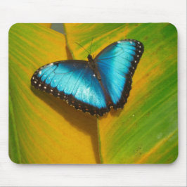 Schöne, iridescent Butterfly Mousepad