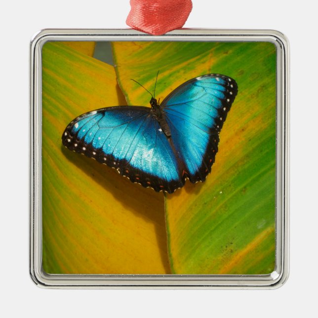 Schöne, iridescent Butterfly Ornament Aus Metall (Vorne)