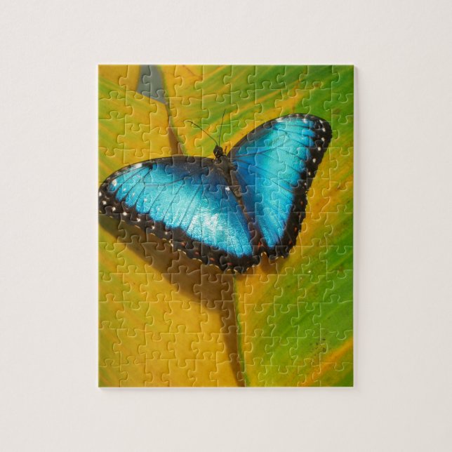 Schöne, iridescent Butterfly Puzzle (Vertikal)