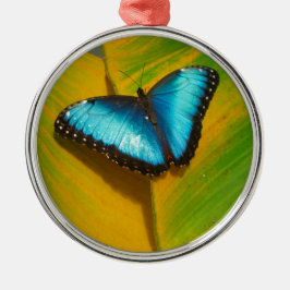 Schöne, iridescent Butterfly Silbernes Ornament