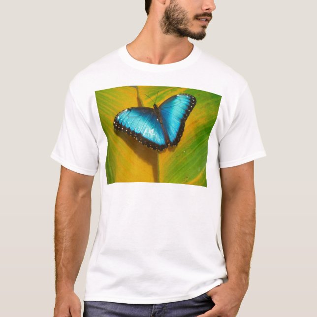 Schöne, iridescent Butterfly T-Shirt (Vorderseite)