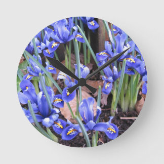 SCHÖNE IRIEN RUNDE WANDUHR