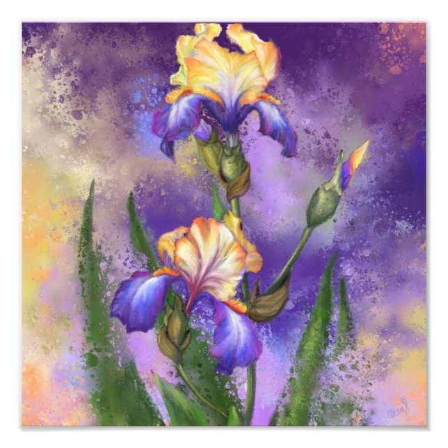 Schöne Iris Blume - Malerei Art Fotodruck (Vorne)