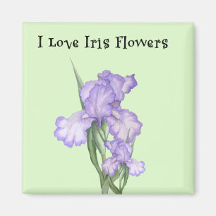 Schöne Iris-Blumen-Magnet Magnet