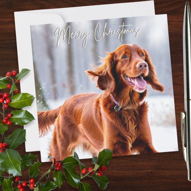 Schöne Irish Red Setter Dog Breed Weihnachten (An elegant personalized Christmas card with picture of an Irish Red Setter dog in the winter snow)