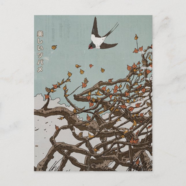 Schöne japanische Schwalbe  Postkarte (Vorderseite)