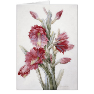 Schöne Kaktus-Blüten-Aquarell-Kunst