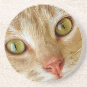 Schöne Katze auf der Straße Getränkeuntersetzer