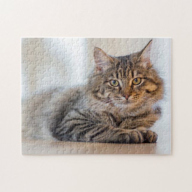 Schöne Katze beim Stürzen auf einem Puzzle (Horizontal)