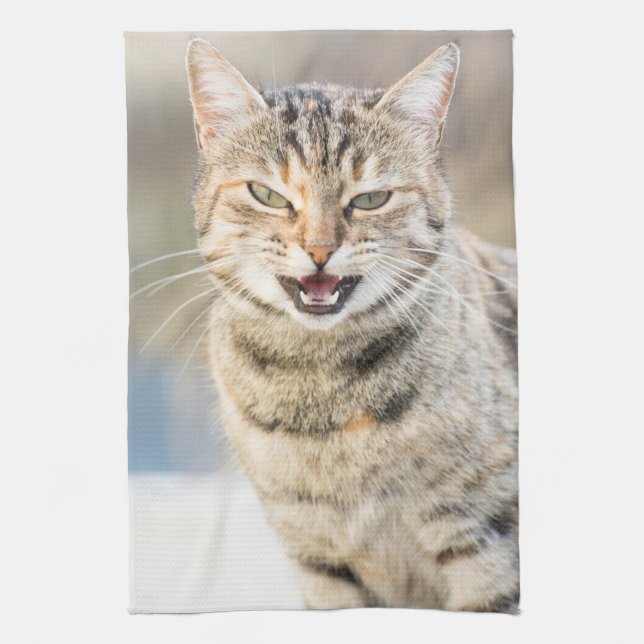Schöne Katze Küchentuch (Vertikal)