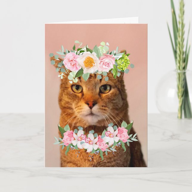 Schöne Katze MEOWVELOUS Geburtstag Karte (Vorderseite)