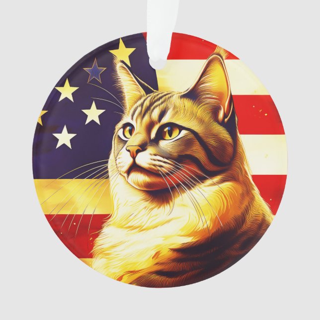 Schöne Katze mit amerikanischem Flaggenhintergrund Ornament (Vorderseite)