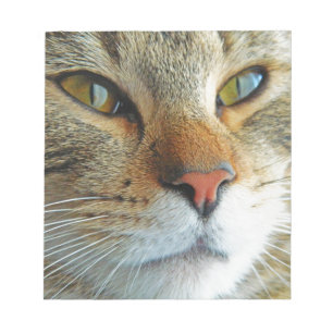 Schöne Katze Notizblock