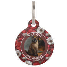 Schöne Katze Papa Geschenk Anemonen Blume