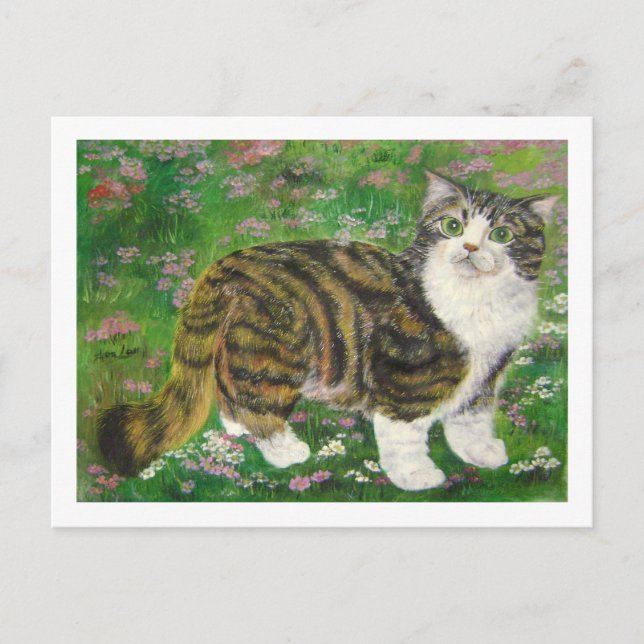 schöne Katze Postkarte (Vorderseite)