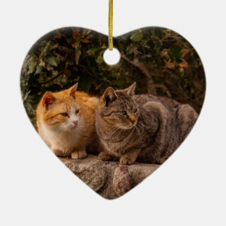 Schöne Katzen, Ornamente