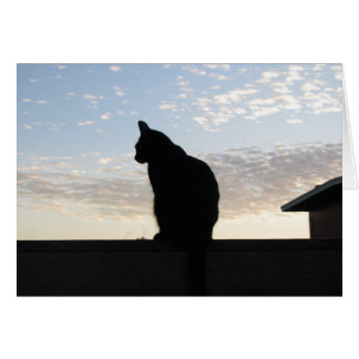 Schöne Katzen-Silhouette am Sonnenuntergang
