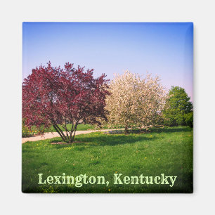 Schöne Kentucky Landschaft und Bäume Magnet