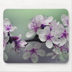 Schöne Kirschblüte Mousepad