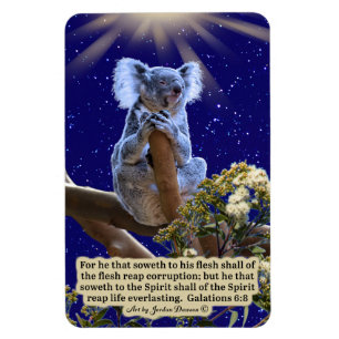 Schöne Koala-Schrift Magnet Galatians 6:8