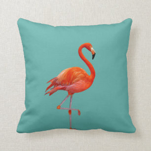 Schöne korallenrosa Flamingos auf Türkis Kissen