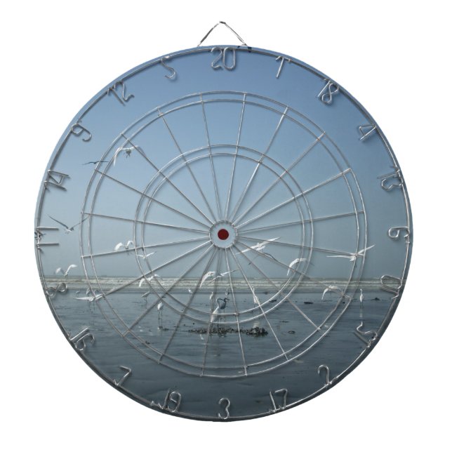 Schöne Krane, die über das Ballett der Natur flieg Dartscheibe (vorne)