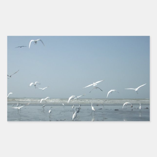 Schöne Krane, die über das Ballett der Natur flieg Rechteckiger Aufkleber (Vorderseite)