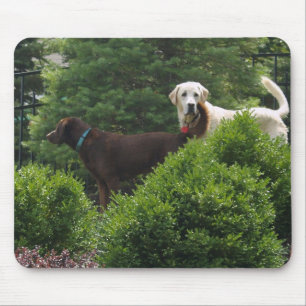 Schöne Labrador-Mausunterlage Mousepad