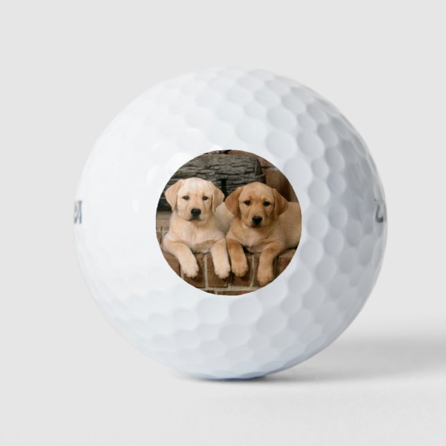 Schöne Labrador Puppys Golfball (Vorderseite)