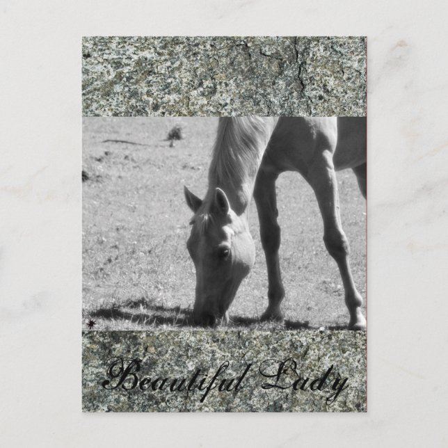 Schöne Lady Postkarte (Vorderseite)