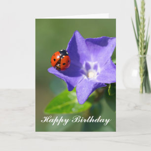 Schöne Ladybug auf der Birthday Card Periwinkle Karte