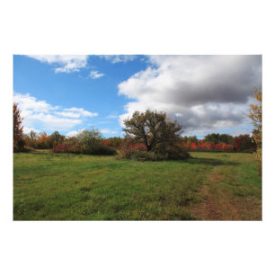 Schöne ländliche Agrarlandschaft Nova Scotia Fotodruck