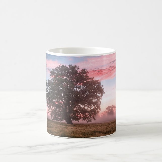 Schöne Landschaft Coffee Mag Kaffeetasse (Mittel)