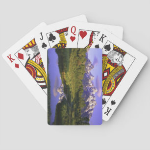 Schöne Landschaft Deck beim Kartenspielen Spielkarten